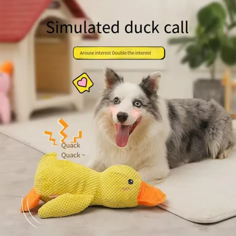 Dog sleeping with a hug duck toys to relieve boredom of little yellow pet...