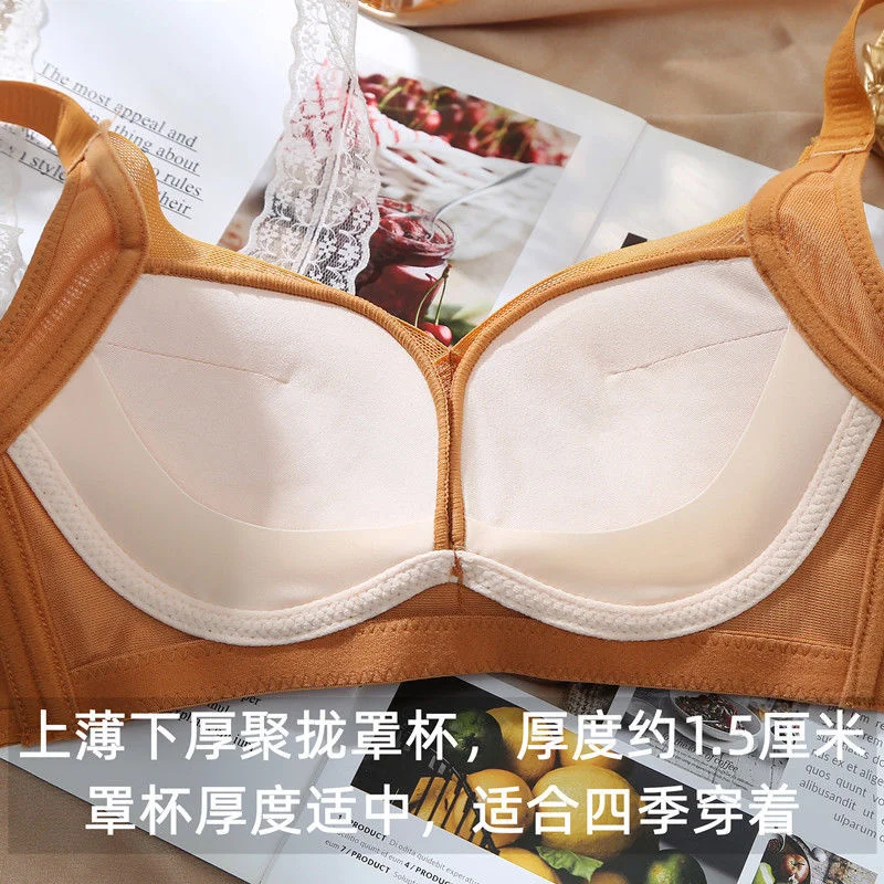 Underwear Women's Medium Thick Cup Sexy Bra Without Steel Ring