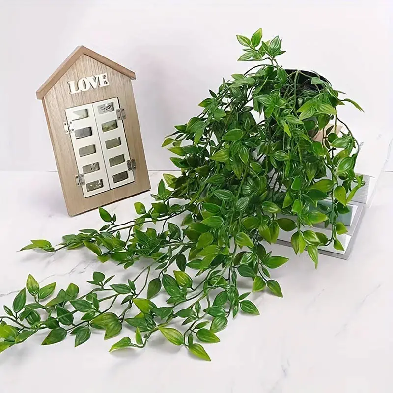 نباتات معلقة ماندالا ديكور