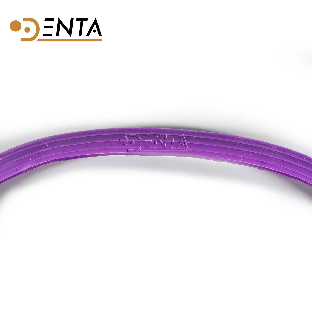 48# Woson Model Tanda C12 Autoclave door gasket replacement seal o- ring Chamber seal accessories tools parts