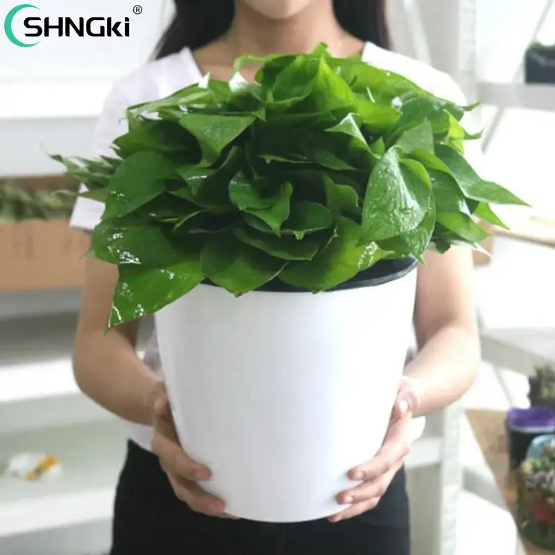 

Water Culture Wall Hanging Basin Basket Plant Storage Holder PP Flower Pots Flowerpot Automatic Water Absorption Lazy Flower Pot