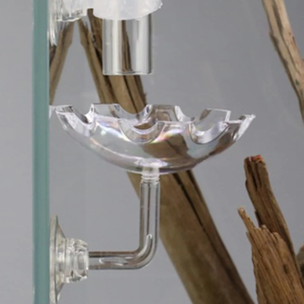 Transparent Glass Shrimp Feeding Dish Multifunctional Acrylic Shrimp Bowl Fish Tank Aquarium Products With Suction Cups