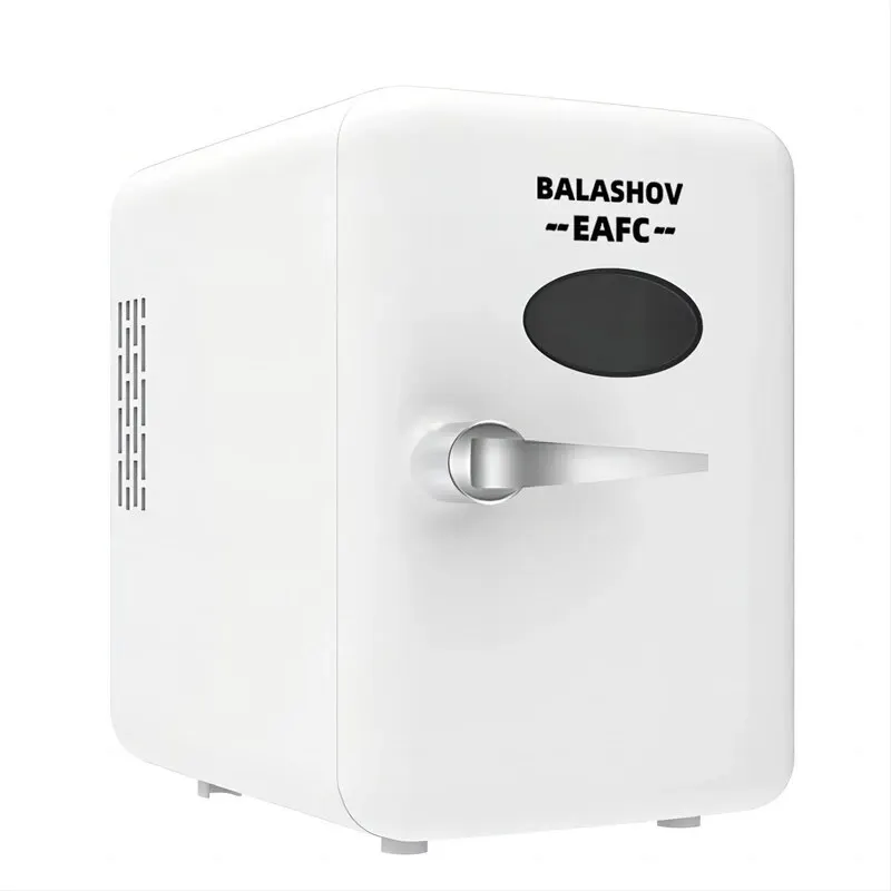 Portable Refrigerator 4L 12V/220V Mini Multifunction Cosmetics Mask Beverage Cooler Warmer Makeup Compact for Car Home