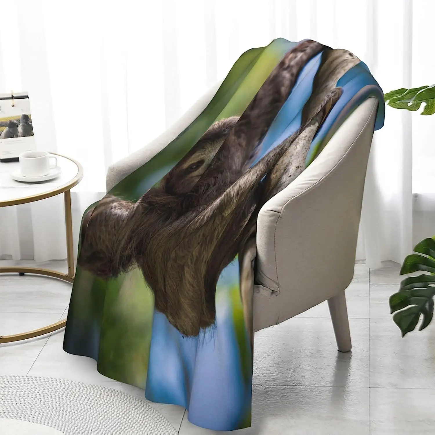 ���� ���� �� ���� ����Ʈ ���, �ڽ�Ÿ��ī ���Ŀ��� �߻� ����, ��� ���ο� ���� ķ��, 48x32 ��ġ