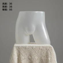  Plastic Female&Male Half Body Mannequin Hip Torso For Window Clothing Underwear Display Lady Items Stand 