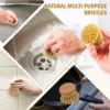 6Pcs Natural Bamboo Dish Brush Head Soft Sisal Bristle Dish Eco-Friendly Washing Up Brush Replacement Heads for Washing Pan/Pot 5
