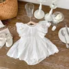 2025 Summer Baby Girls Romper Cotton Lace Ruffle Embroidery Flying Sleeve Mesh Princess Toddler Girl Dress Infant Girls Bodysuit 3