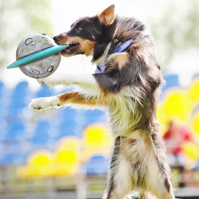 Flying Saucer Dog Game Flying Discs Toys Cat Chew Leaking Slow Food Feeder Ball Puppy IQ Training Toy Anti Choke Puzzle Dogs