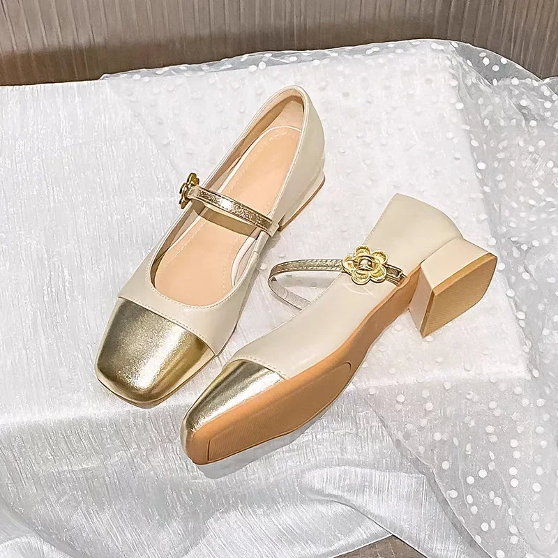 Square Toe Mary Jane Shoes for Women Chunky Sandals Shallow Mouth Casual Mid Heel Pumps New Women Footwear Zapatos De Mujer 3