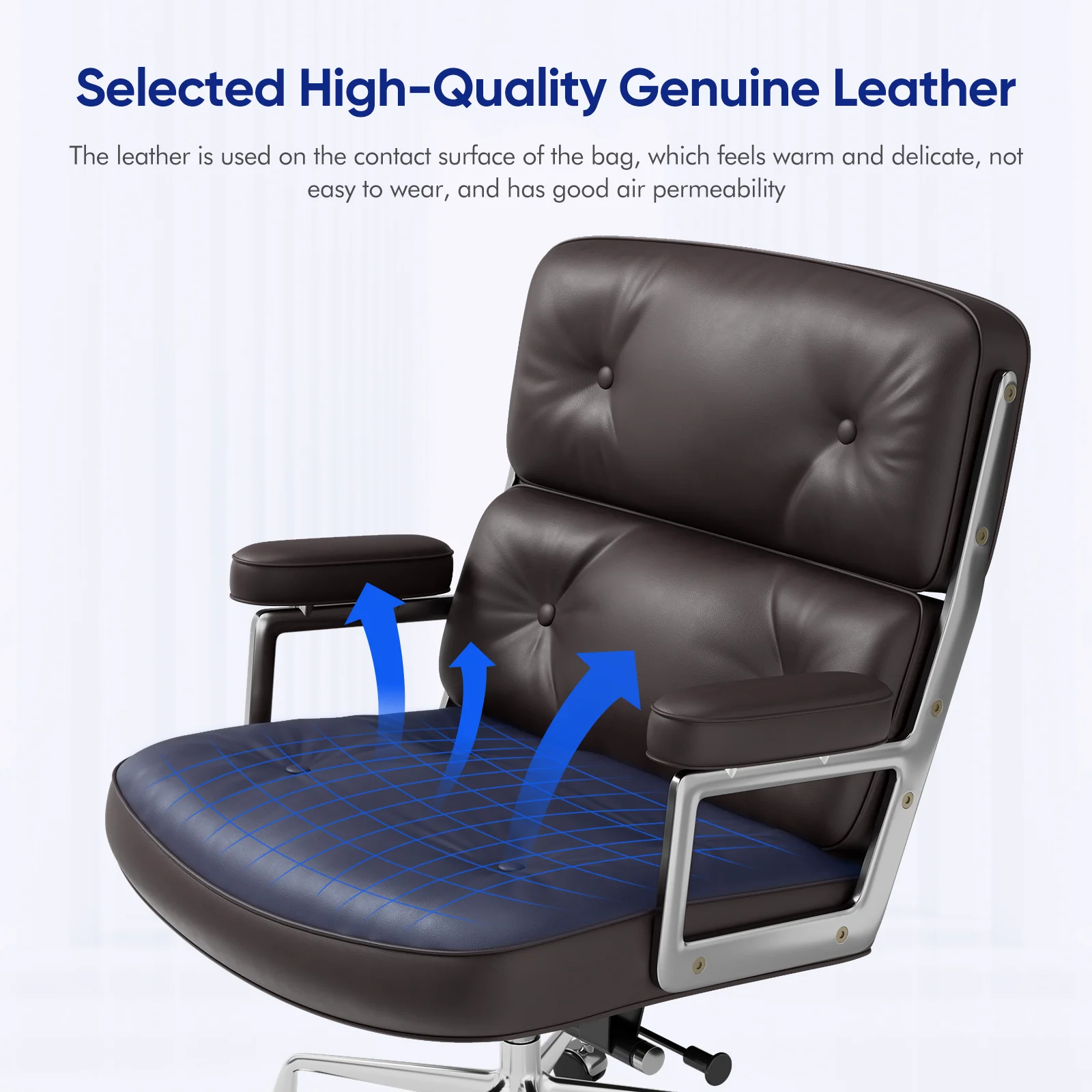 Household Office Chair Comfortable Sedentary Computer Chair Lifting Adjustable Fashion Modern Furniture 5