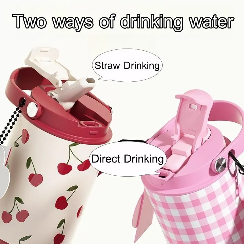 Chic 750ML Insulated Stainless Steel Tumbler - Stylish Thermal Water Bottle Gift