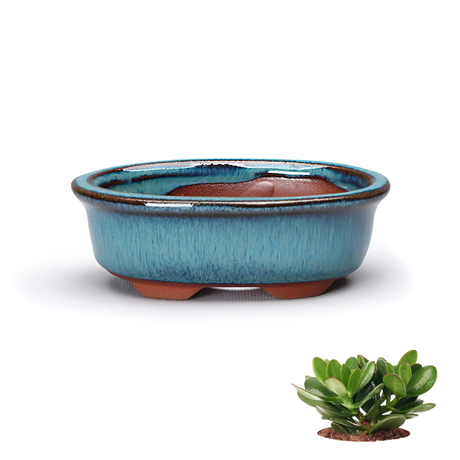Ceramic Flower Pot Gardening Pots Growth Planter Tabletop Vase Windowsills Home Gardens and Patios Decor Flowerpot - 5