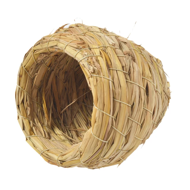 Image 6