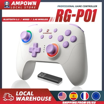 ANBERNIC RG P01 Gamepad 1