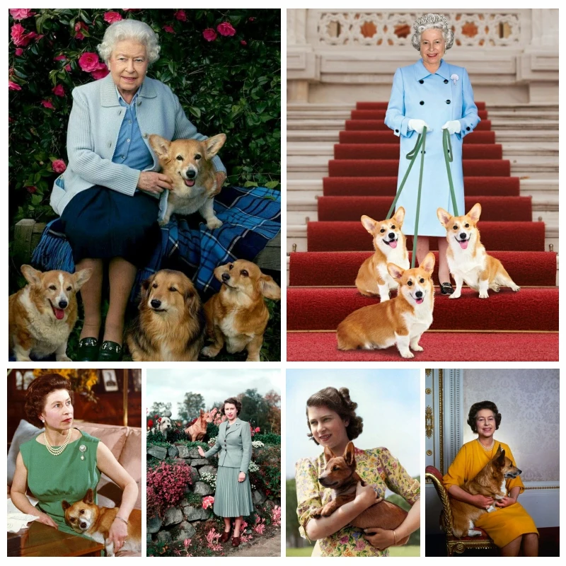QueenElizabethIIWithHerLoveDogDiamondPaintingABDrillsArt