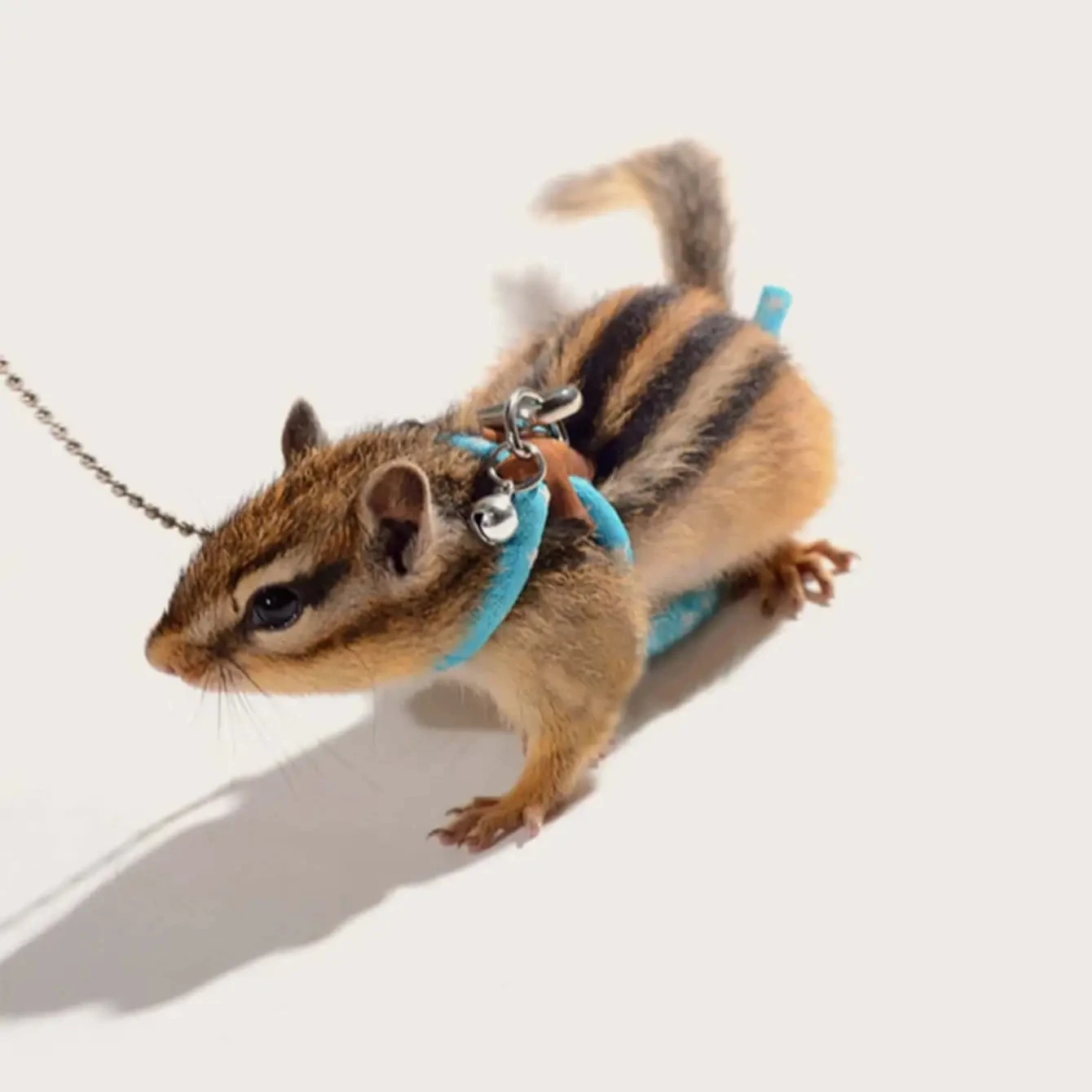 1pc-Small Pet Harness And Leash Set - Secure, Comfortable Vest For Hamsters, Mice & Squirrels