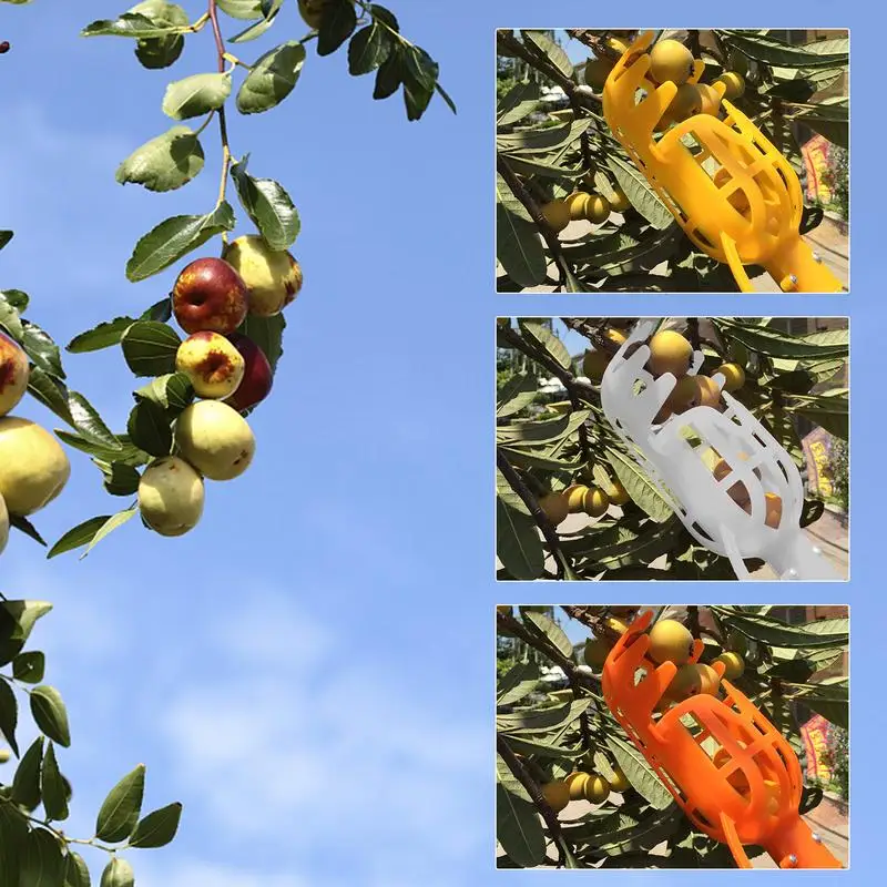 Fruit Picker Tool Colorful Fruit Grabber Picker Pole With Basket Tree Telescoping Pole For Plum Orange Peach Mango