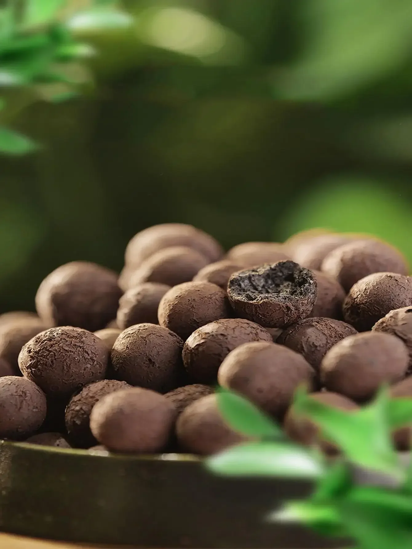 Description Picture 2 of item500g  Clay Pebble Combination Set, Used For Garden Decoration, Micro-Landscape, Bonsai Decoration, Aquarium