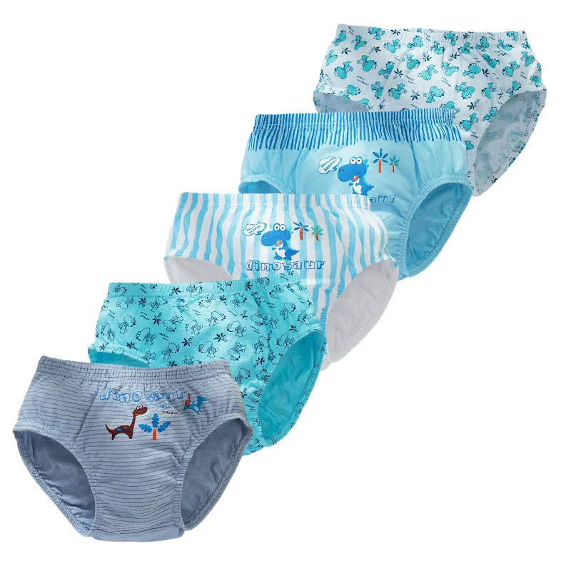 Boys Dinosaur Underwear Set 1