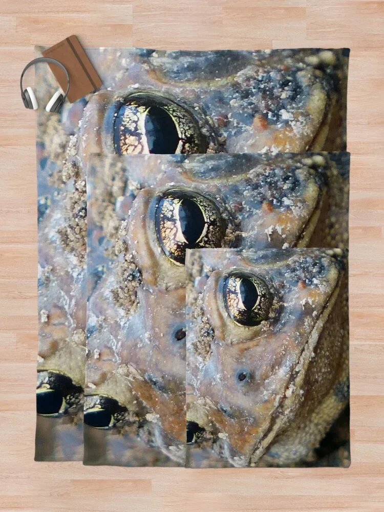 �β��� �� ������ ���, ħ�� ����, ũ�������� ���� ���