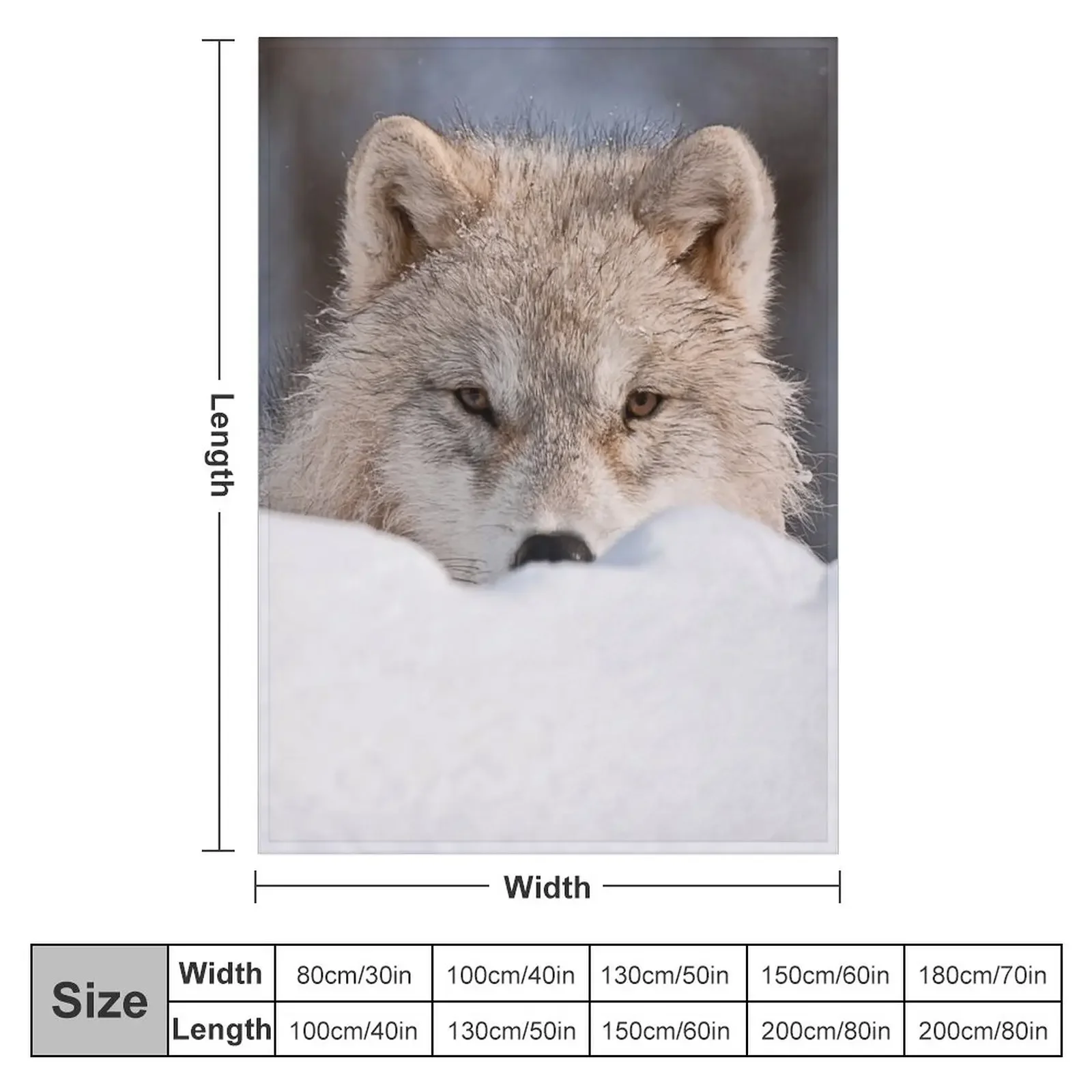 �� �ϱ� ���� ������ ���, ǫ���� ���� ���Ÿ� �귣��, ������ �ܿ� ���