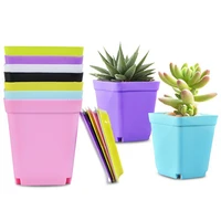 10PCS Gardening Mini Small Square Pot Flower Pot Succulent Pot Little Black Square Plastic Pot Seedling Tray Containe 2