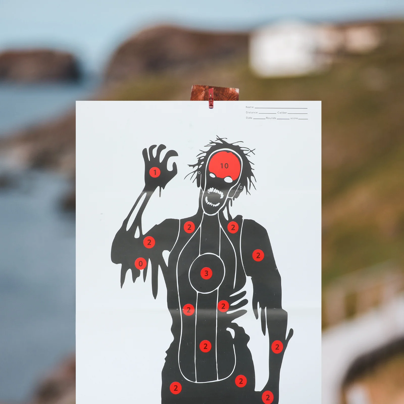 

2 листа, предназначено для игровой потенции