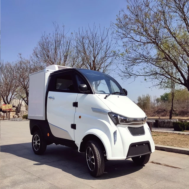 Middle Steering Wheel Fully Enclosed Luxury Interior Adult Electric Four Wheeler Electric Cold Fresh Box Truck