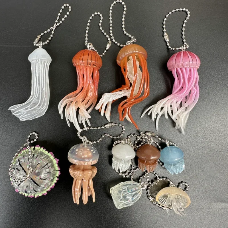 Medusa Chaveiro com Cápsula Gashapon, Brinquedo Simulação, Modelo de Organismo Marinho, Estereograma Gacha Pingentes, Presentes