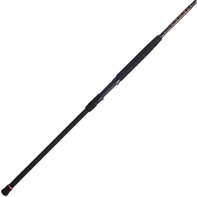 Penn Polespenn Squadron Iii Surf Spinning Rod - Carbon, X Position, Battle  6000 Line Capacity