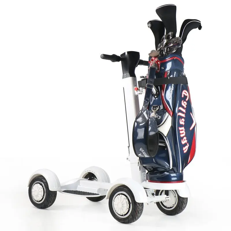 Scooter Elettrico Da Golf Per Adulti Doppio Motore Con Sedile 2000W 48V Carrello Da Golf Pieghevole Per Scooter A 4 Ruote Con Ombrello E Staffa