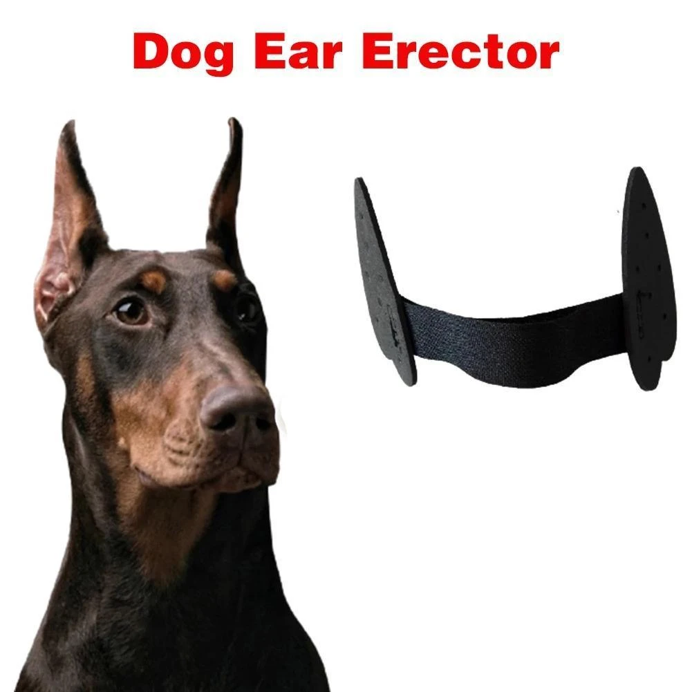 Dog Supplies Puppy Ear Care Tools Ear Stand Up Sticker Dog Ear Stand Fixed Support Tool For