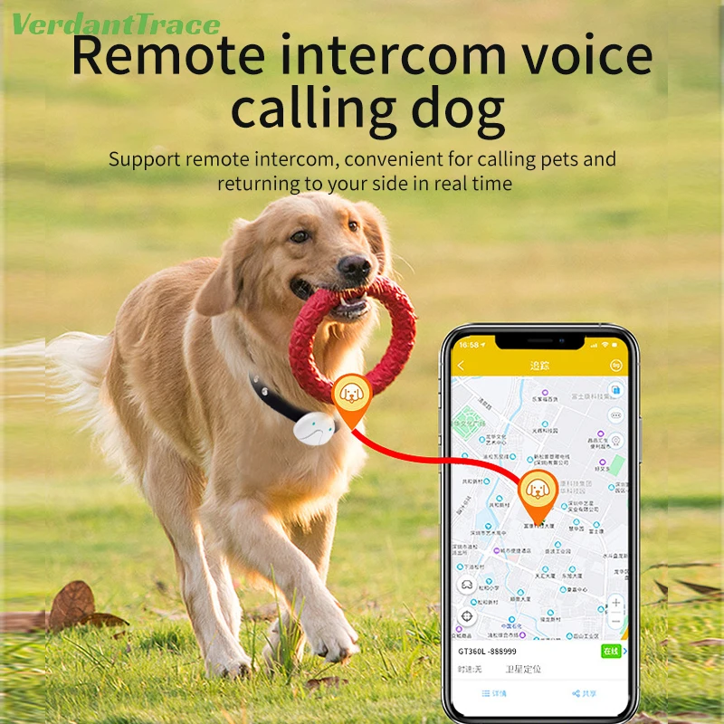 2G 4G Pet GPS Tracker Electronic Fence Mileage Statistics Water-Resistant Smart Locator Remote Intercom Track Playback Cat Dog