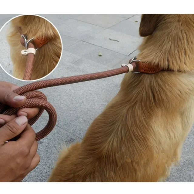 Dog Walking Leash Slip Rope Lead Leash Heavy Duty Braided Rope Adjustable Loop Collar Training Leashes for Large Dogs 2