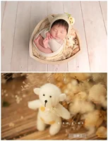 Newborn Photography Props Accessories Backdrop Animal Baby Toys Wool Mohair Infant Dolls Lion Bear Bunny Panda Studio Props 4