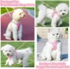 Breathable Pet Harness Escape-Proof Reflective Dog Harness for French Bulldog Harness Vest Puppy Pet Outdoor Walking Lead Leash 6