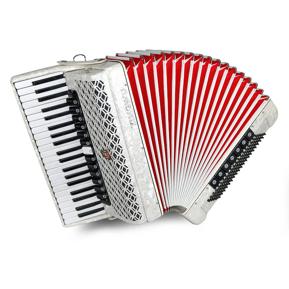 41 Keys 120 Bass 20 Register Diatonic Keyboard Accordion