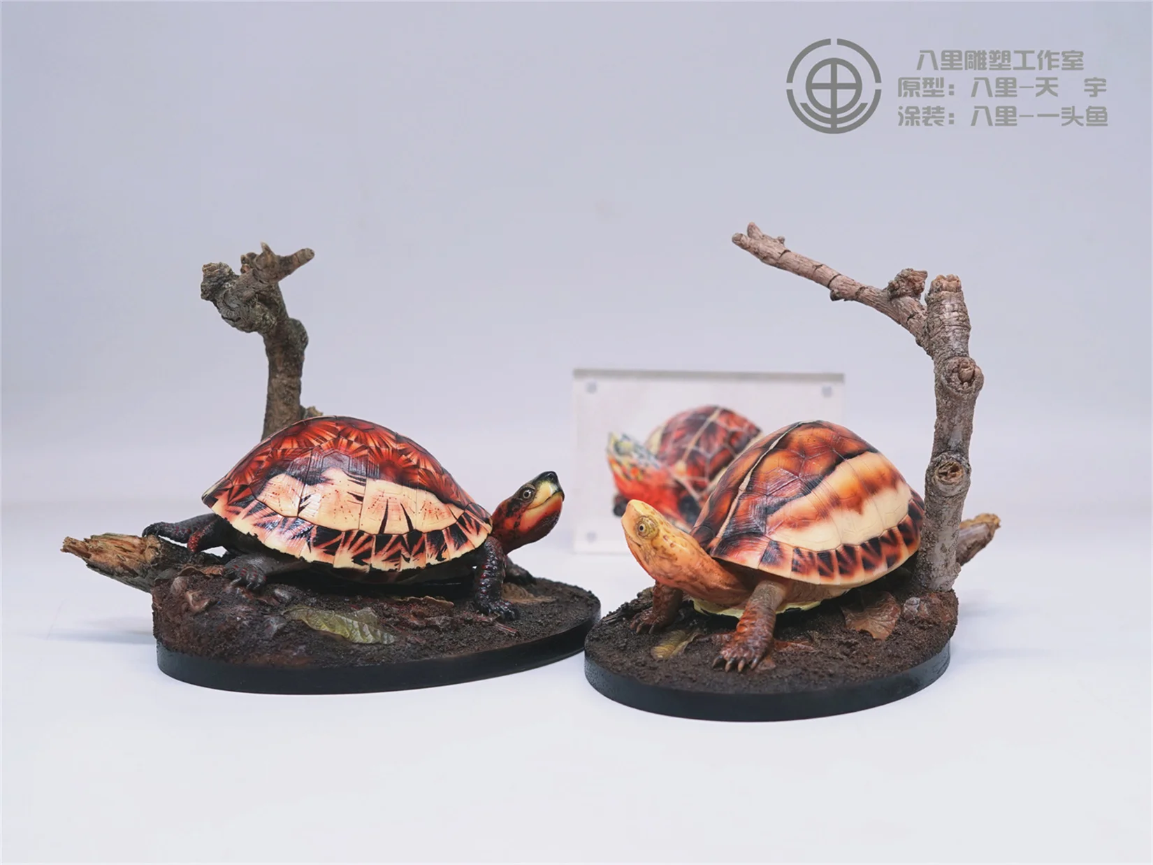 

Bali Studio 1/1 Yellow-margined Box Turtle Model Animal Statue Cuora Flavomarginata Adult Collection Educationa Toy Decor Gift
