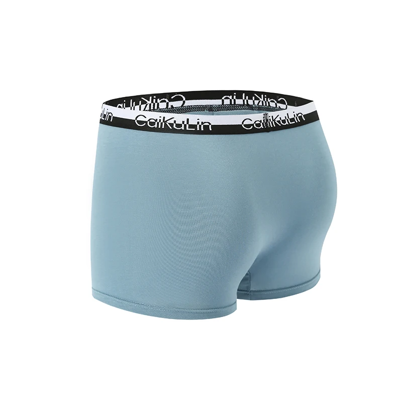 10 pcs CaiKuLin Brand Modal Sexy Boxer Shorts For Men Underwear Male Panties Slip Letter High Elastic Underpants Boy Lingerie