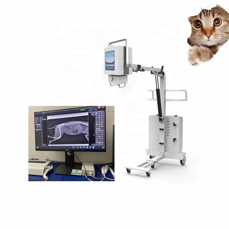 

Medical X-ray Equipments DR X- ray portable x-ray machine portable digital xray