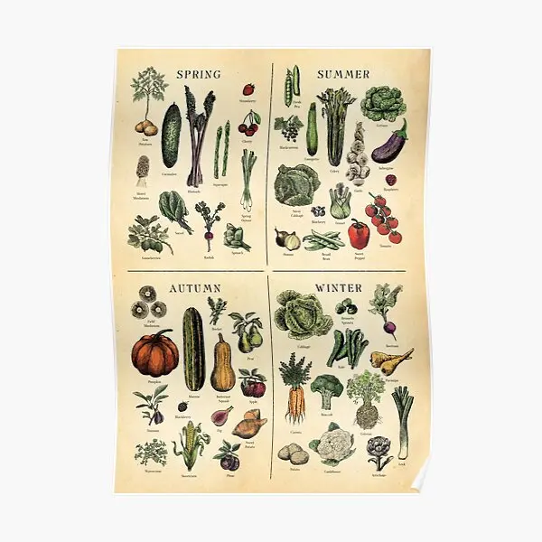 

Seasonal Fruit And Veg Chart Poster Decoration Mural Vintage Art Funny Picture Modern Decor Print Room Painting Home No Frame