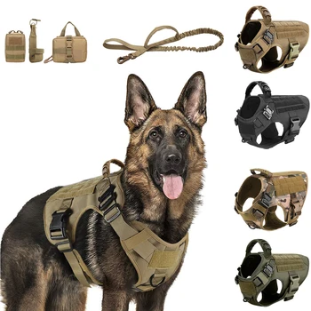 Heavy Duty Dog Harness & Leash Set for Medium and Large Dogs 1