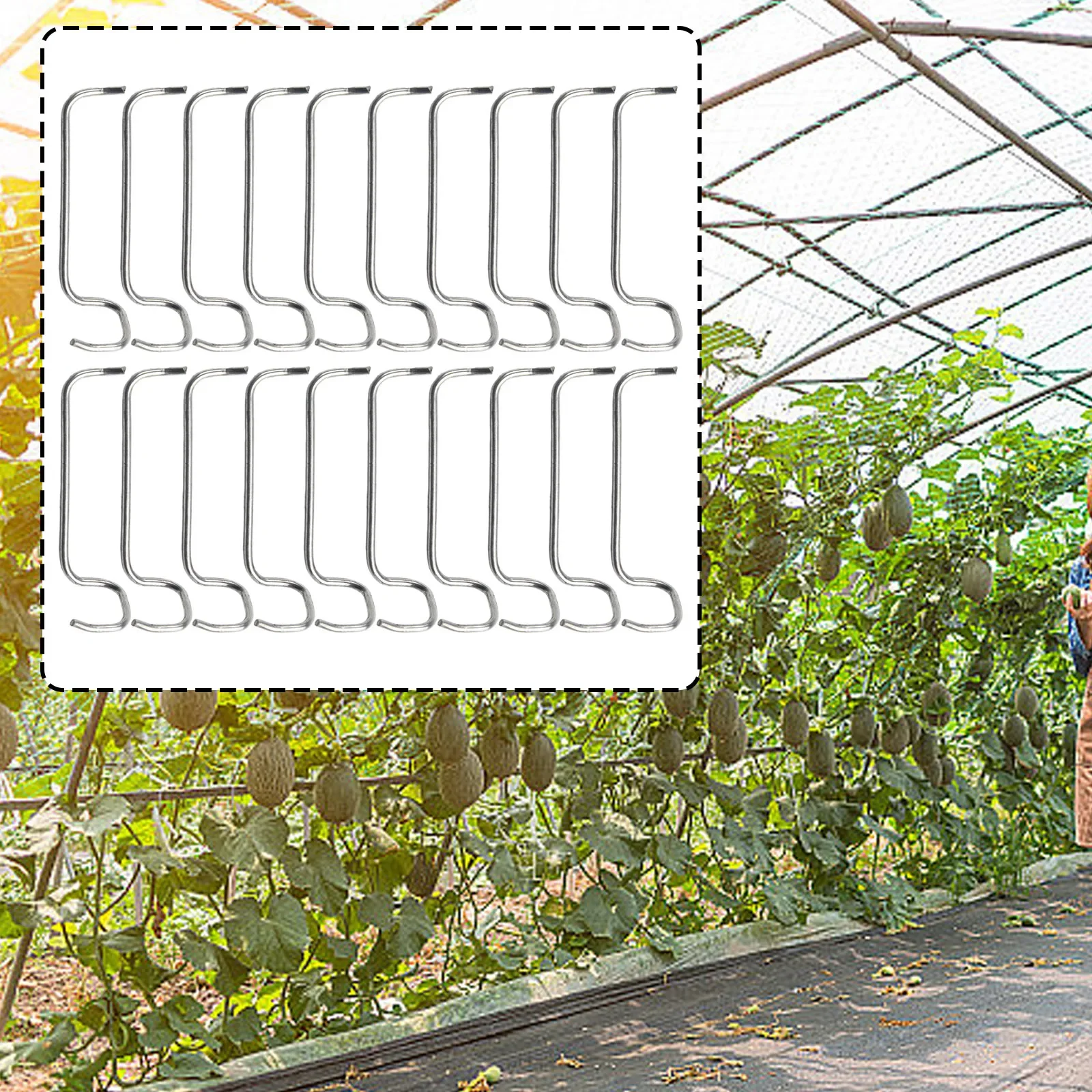 20pcs Branches Bending Branch Spreader Garden Yard And Orchard Reusable Stainless Steel 26T 36T tree branch fixator