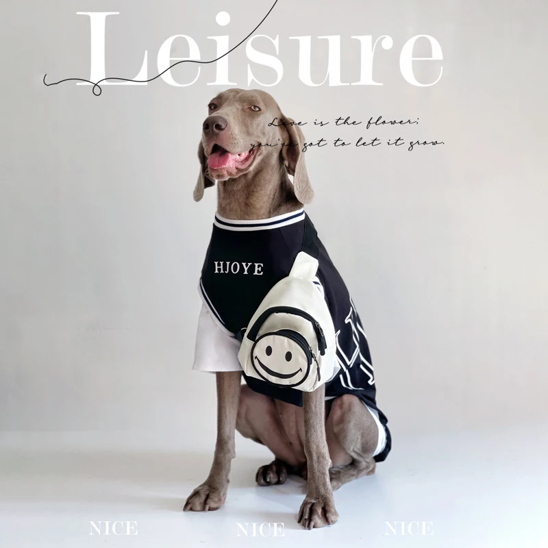 

Тонкая одежда для больших собак, Красивая одежда, Доберман Золотистый Ретривер, Лабрадор, Лето