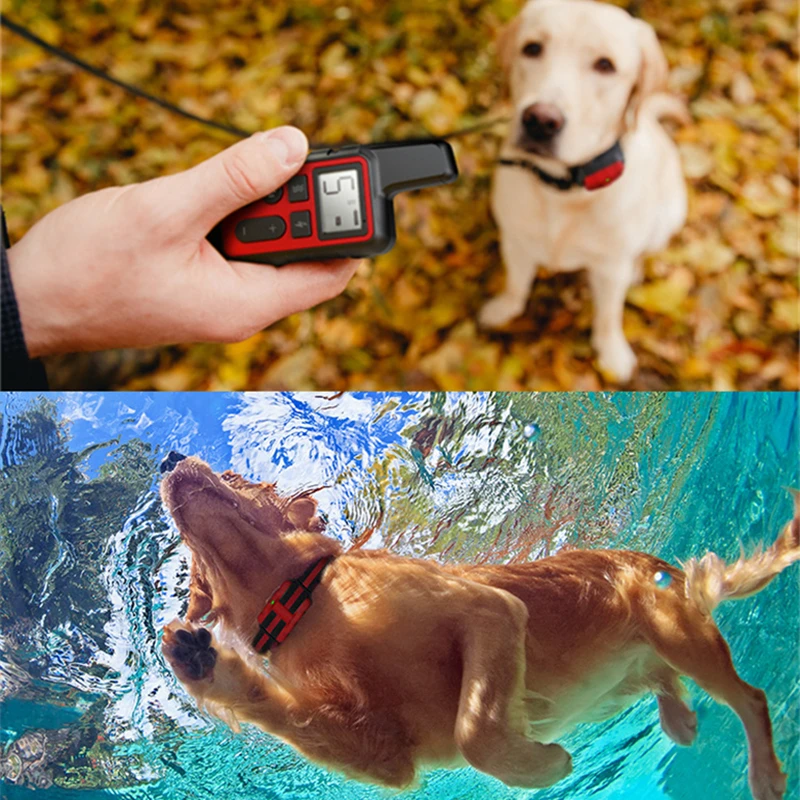 Waterproof Training Collar Safety For Dog