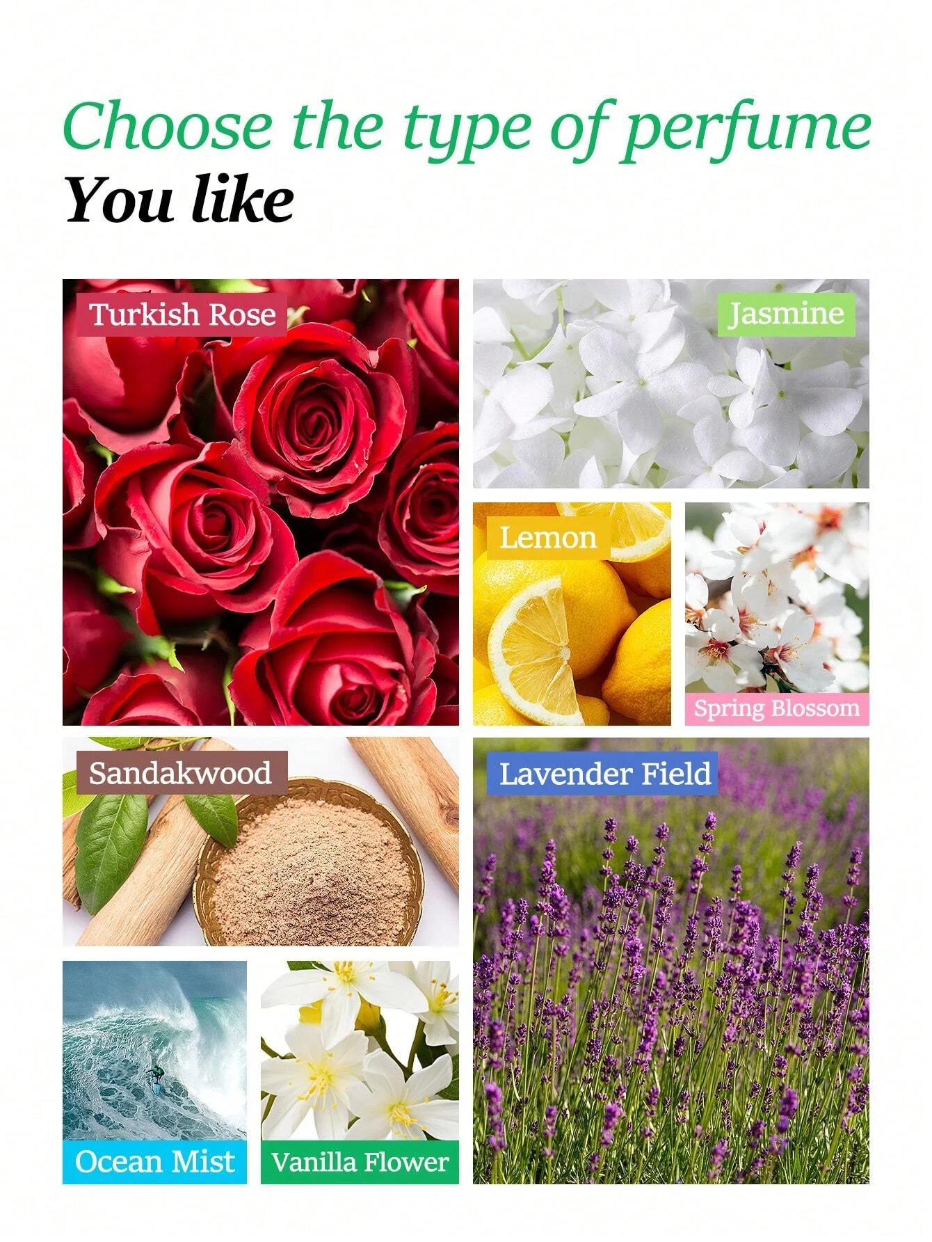 10ML Essential Oils Air Freshener Natural Plant Aromatherapy Essential Oil Air Conditioning Refill Aroma Diffuser Fragrance