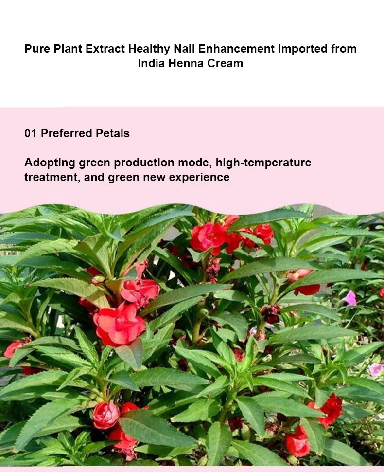 Description Picture 4 of item2 X Pure Natural Plant India Henna Cream DIY Nail Dyeing Red Nail Art Natural Colors luster 20g/bottle
