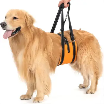Dog Assist Belt Portable for Large Dogs