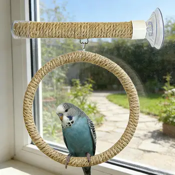 Suction Cup Bird Rope Swing and Stand 1