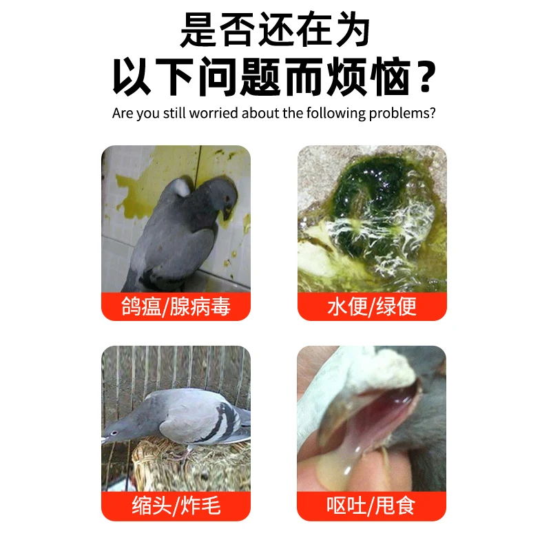 Green Water Stools Pigeon Medicine Newcastle Disease Bursitis Pigeon Supplies Racing Pigeons Parrots Bird Supplies pigeon pox medicine
